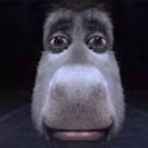 Meet your Posher, Jane anne